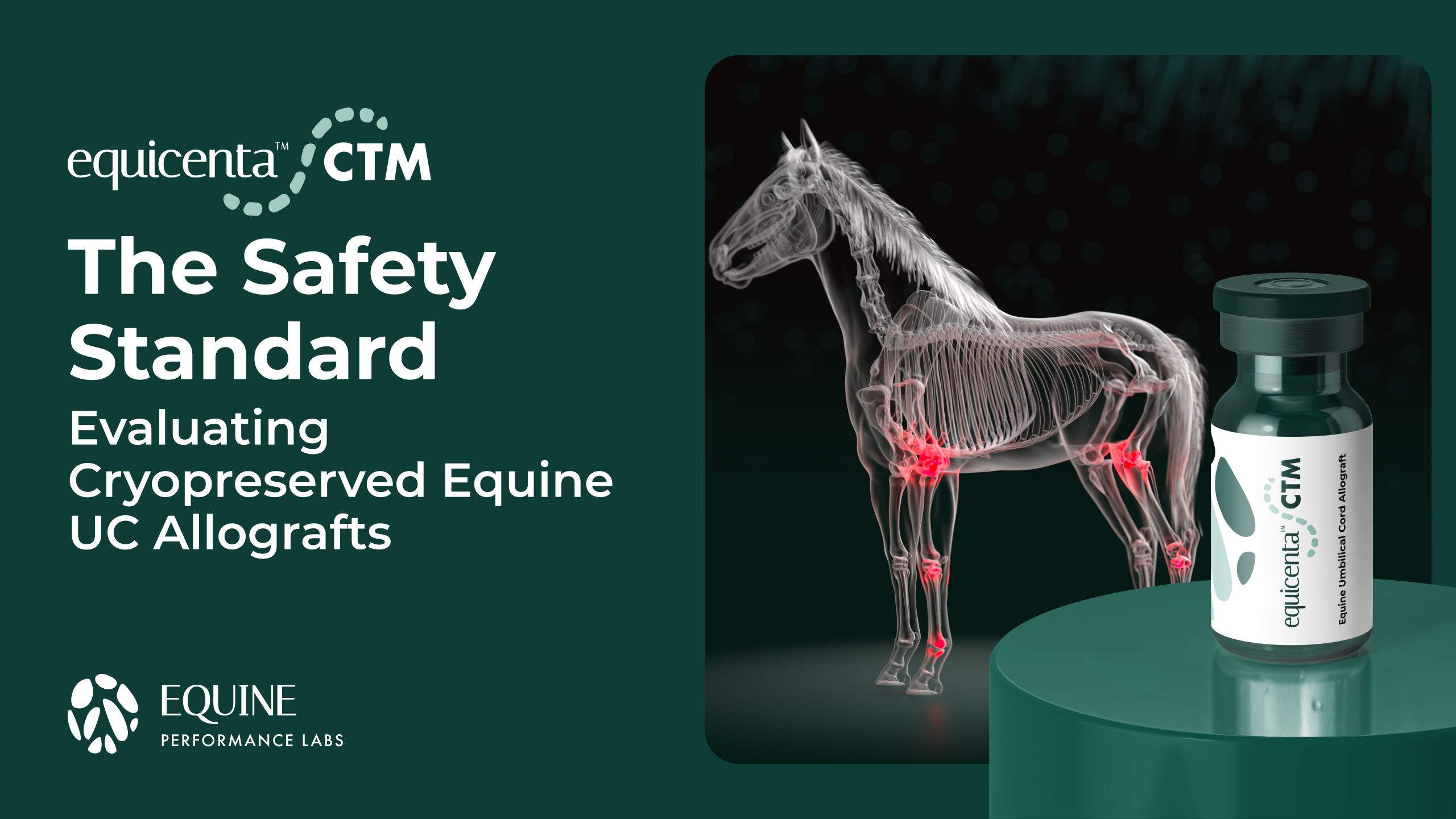 The Safety Standard