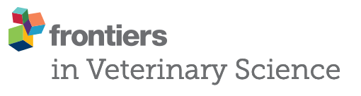 Frontiers in Veterinary Science