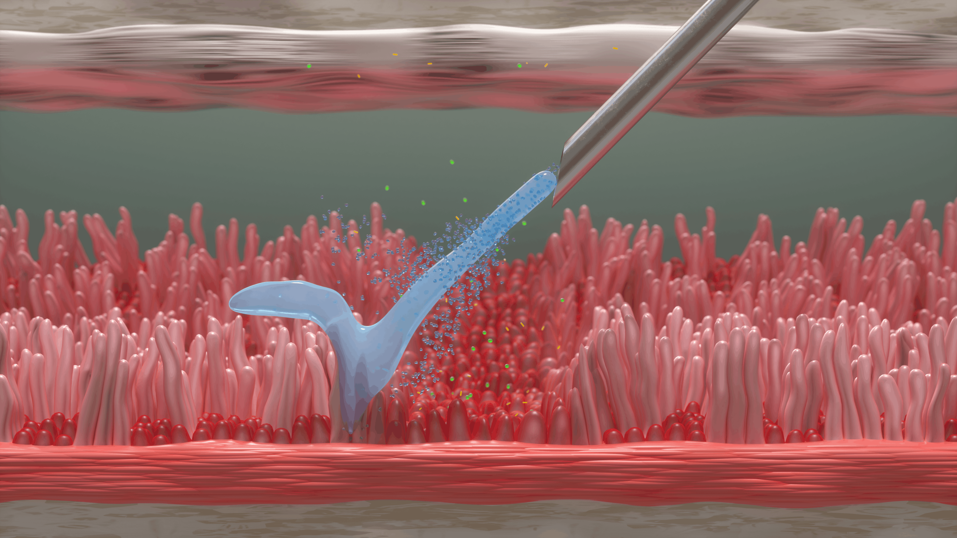 Joint synovium and tissue matrix illustration