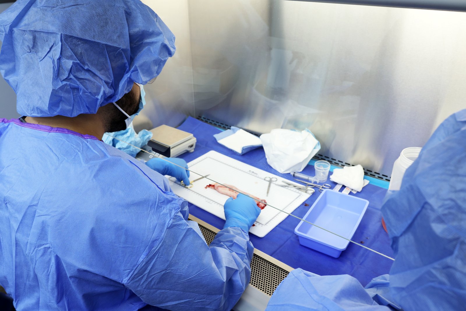 Equine Performance Labs processing under ISO-aligned standards